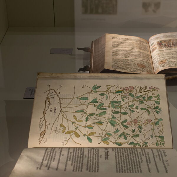 Wechselausstellung
